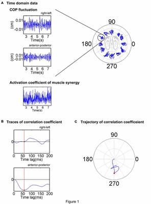 Action Direction of Muscle Synergies in Voluntary Multi-Directional Postural Control